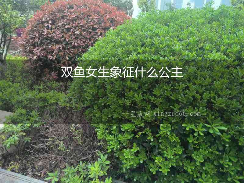 雙魚女生象征什么公主