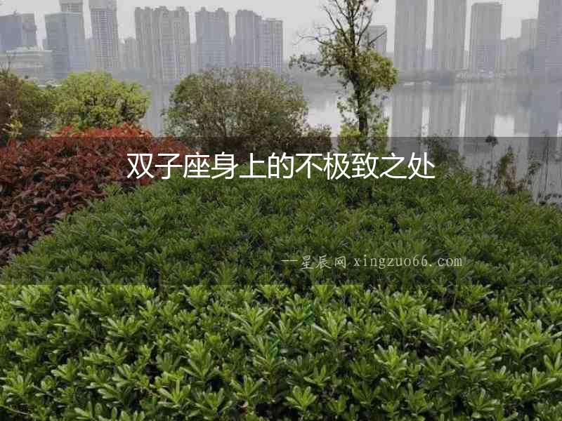 雙子座身上的不極致之處