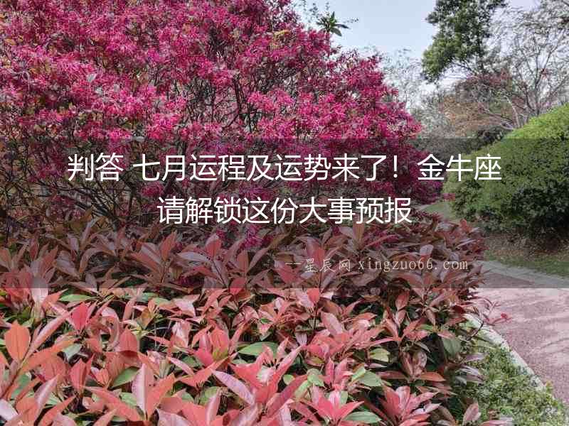 判答 七月運程及運勢來了！金牛座請解鎖這份大事預報