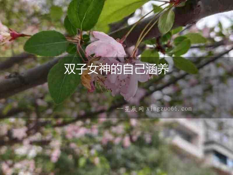 雙子女神的自己涵養(yǎng)