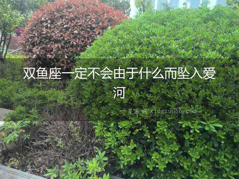 雙魚座一定不會由于什么而墜入愛河