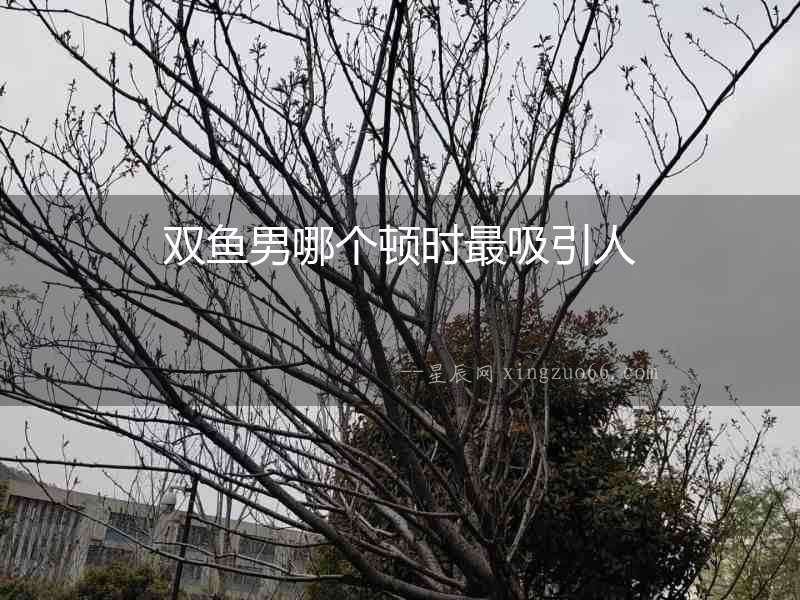 雙魚男哪個頓時最吸引人