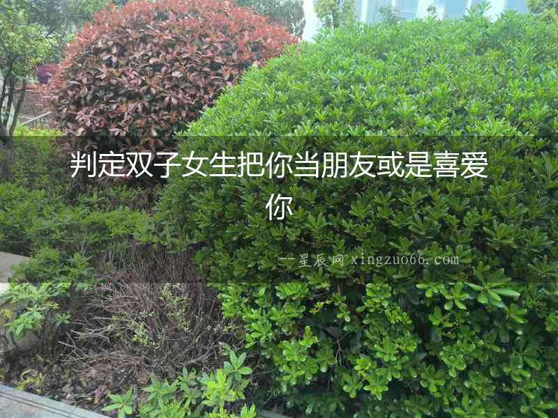 判定雙子女生把你當朋友或是喜愛你