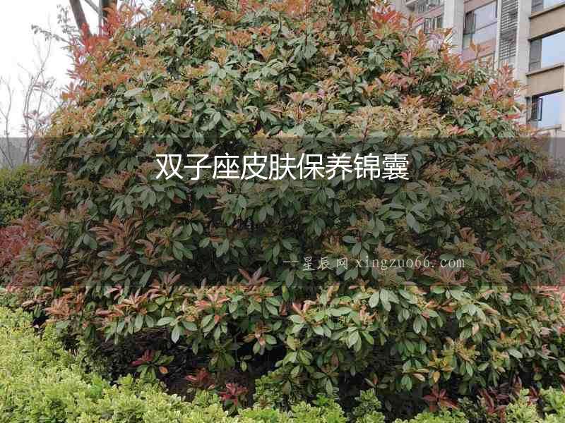 雙子座皮膚保養錦囊