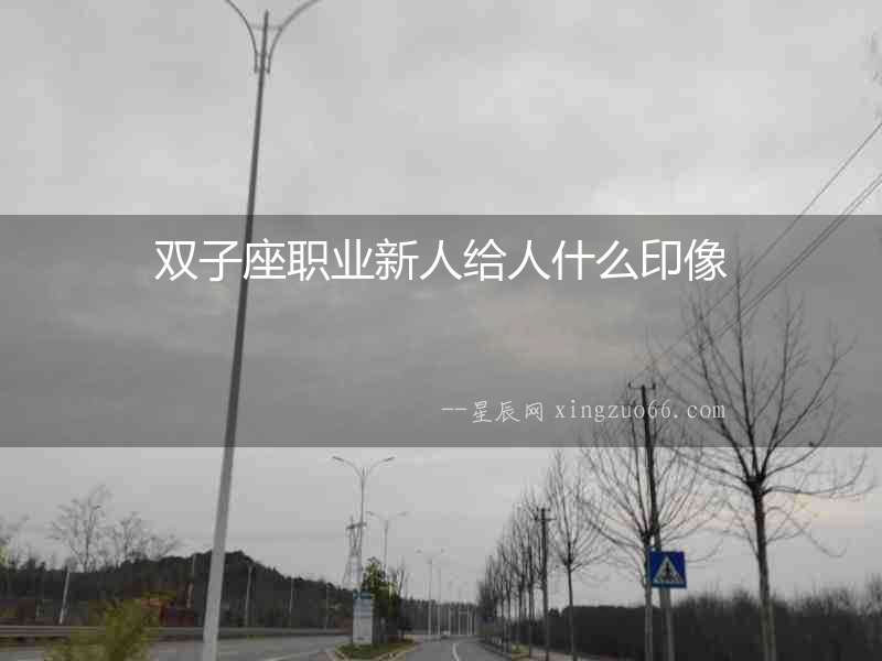 雙子座職業新人給人什么印像