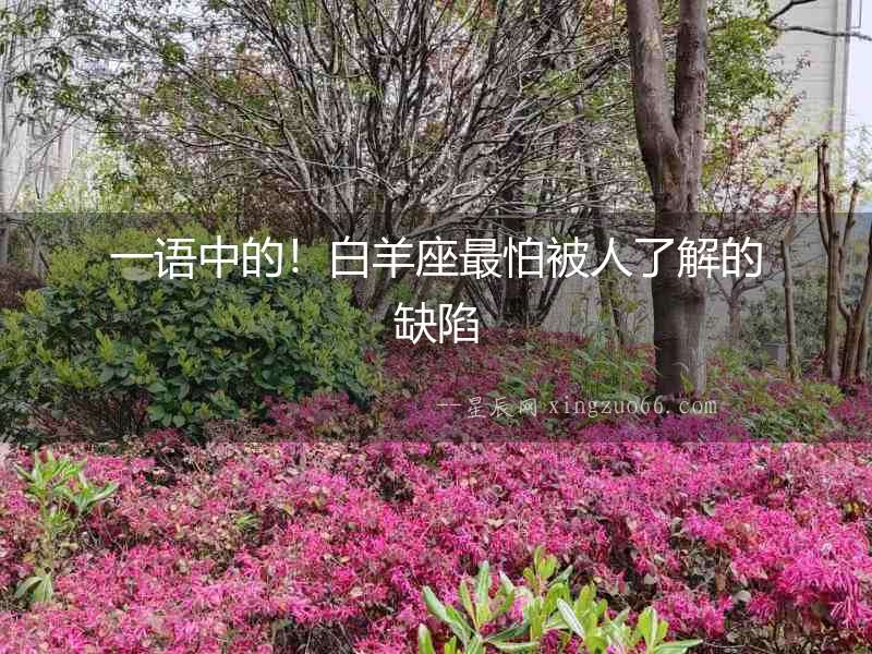一語中的！白羊座最怕被人了解的缺陷