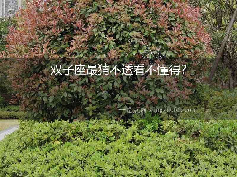 雙子座最猜不透看不懂得？