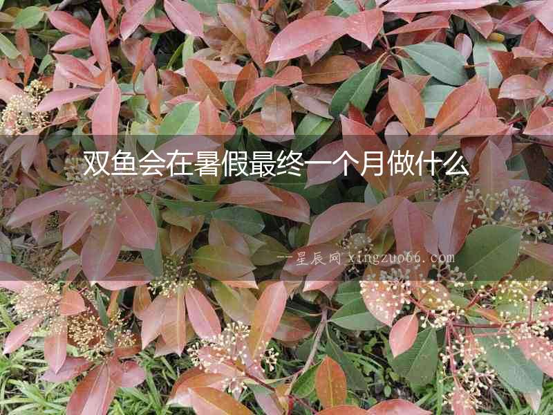 雙魚會在暑假最終一個月做什么