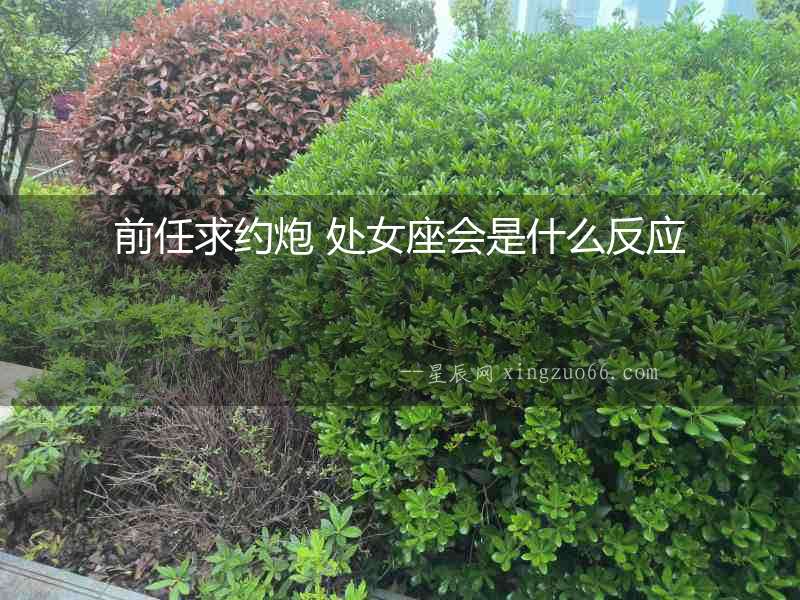 前任求約炮 處女座會是什么反應