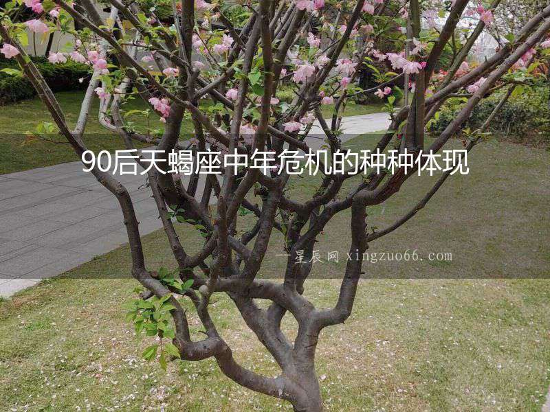 90后天蝎座中年危機的種種體現
