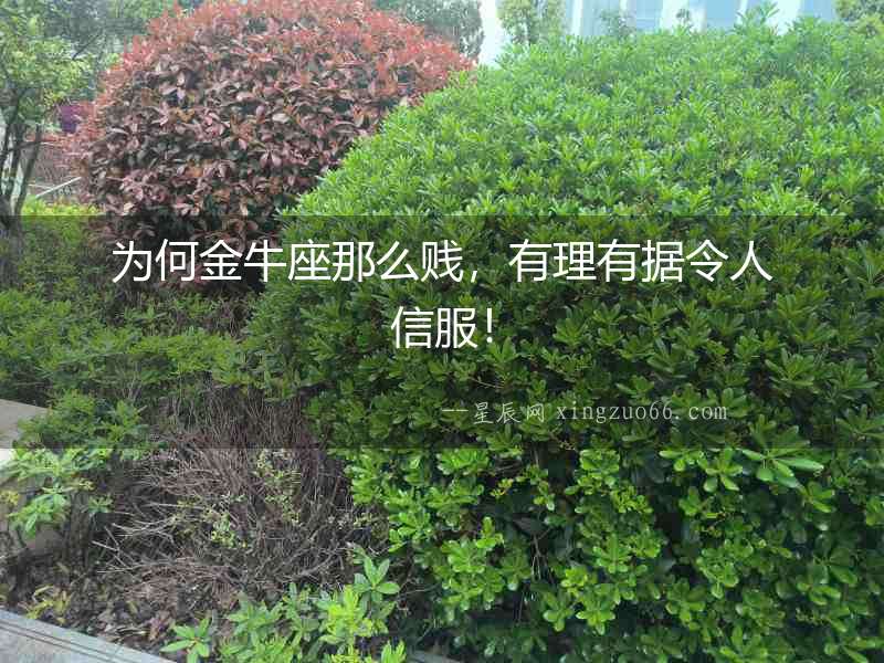 為何金牛座那么賤，有理有據令人信服！
