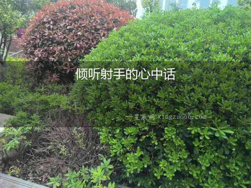 傾聽射手的心中話