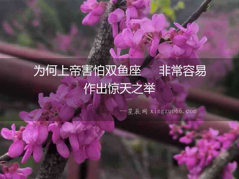 為何上帝害怕雙魚座     非常容易作出驚天之舉