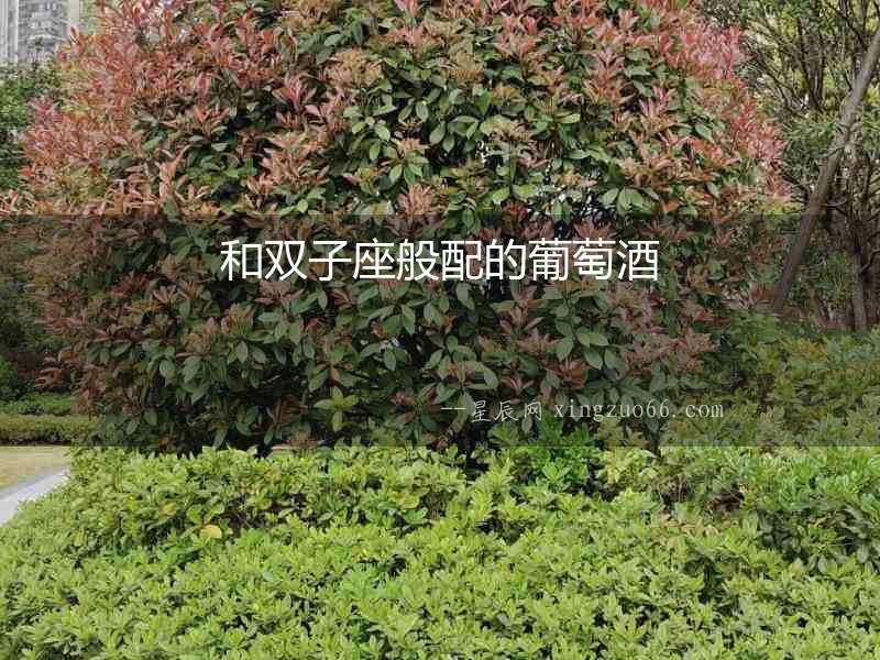 和雙子座般配的葡萄酒