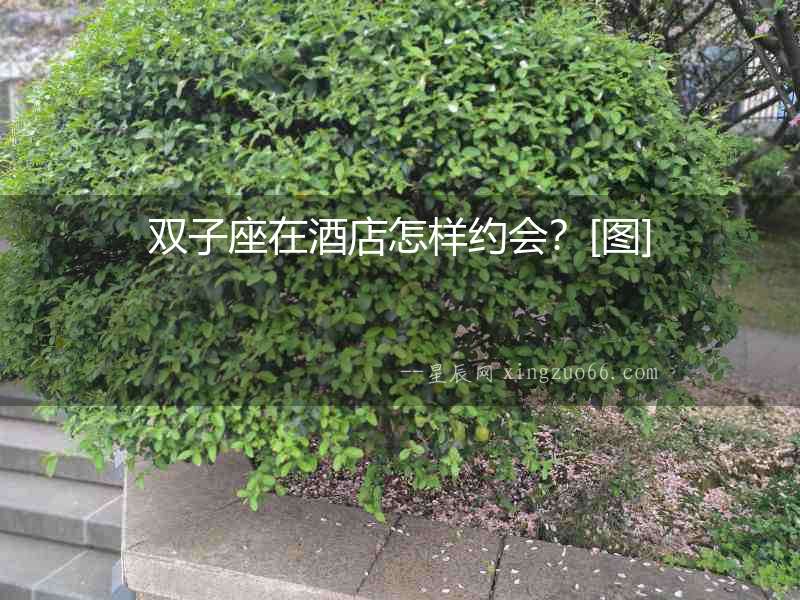 雙子座在酒店怎樣約會？[圖]
