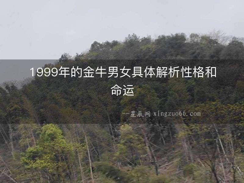 1999年的金牛男女具體解析性格和命運(yùn)