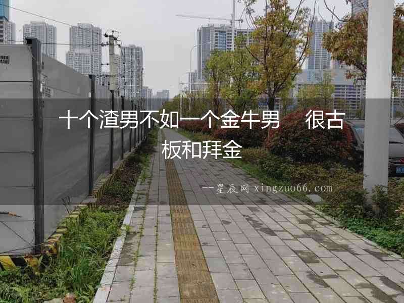十個渣男不如一個金牛男    很古板和拜金