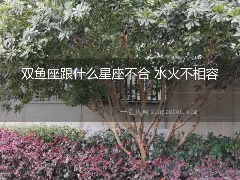 雙魚座跟什么星座不合 水火不相容