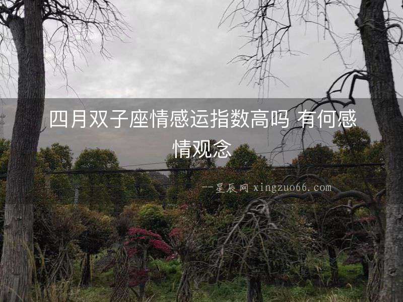 四月雙子座情感運指數高嗎 有何感情觀念