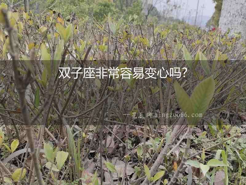 雙子座非常容易變心嗎？