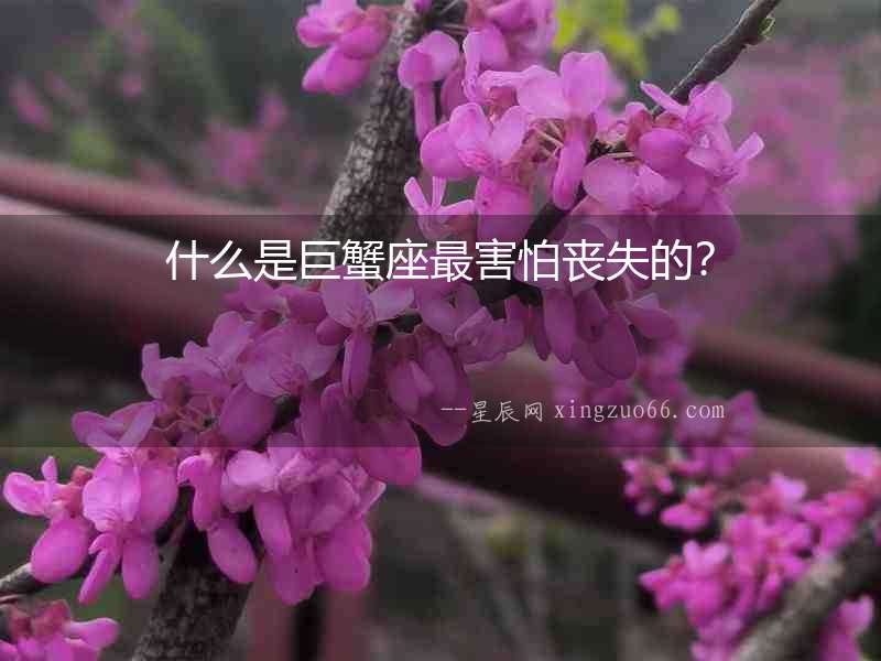 什么是巨蟹座最害怕喪失的？