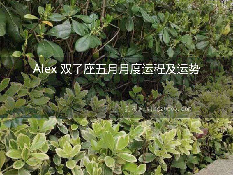 Alex 雙子座五月月度運程及運勢