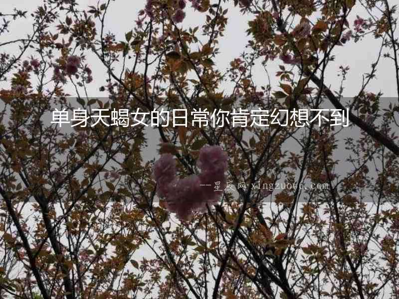 單身天蝎女的日常你肯定幻想不到