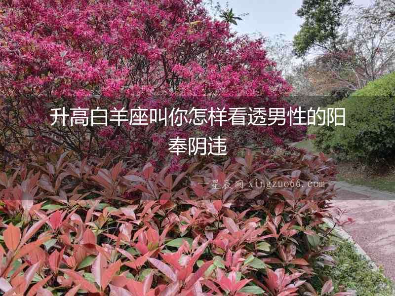 升高白羊座叫你怎樣看透男性的陽奉陰違