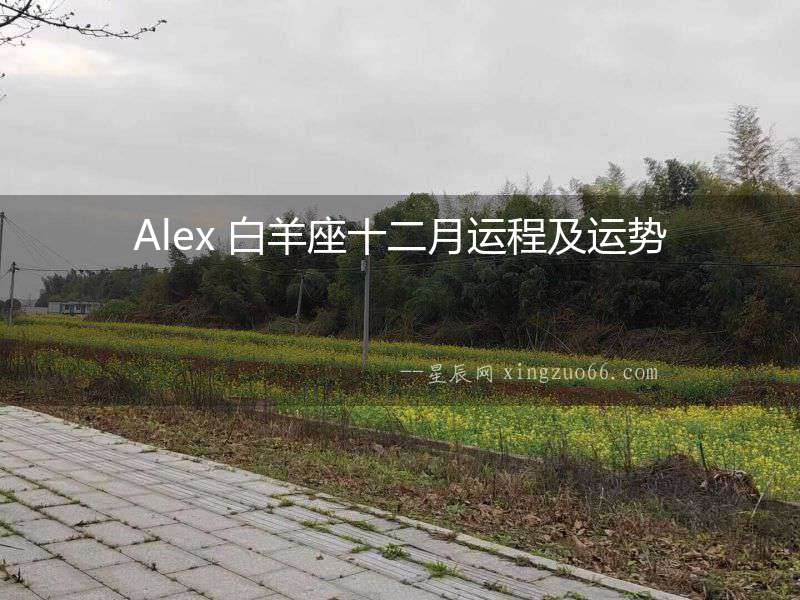 Alex 白羊座十二月運程及運勢