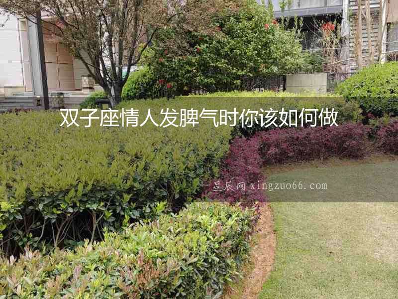 雙子座情人發脾氣時你該如何做