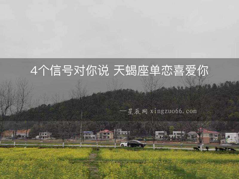 4個信號對你說 天蝎座單戀喜愛你
