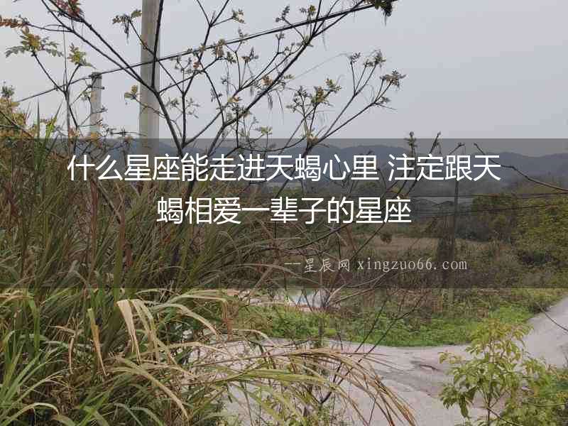 什么星座能走進天蝎心里 注定跟天蝎相愛一輩子的星座