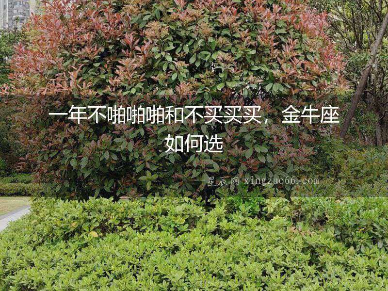 一年不啪啪啪和不買買買，金牛座如何選
