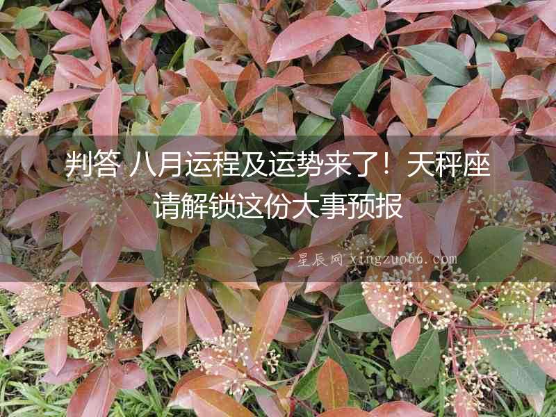 判答 八月運程及運勢來了！天秤座請解鎖這份大事預報