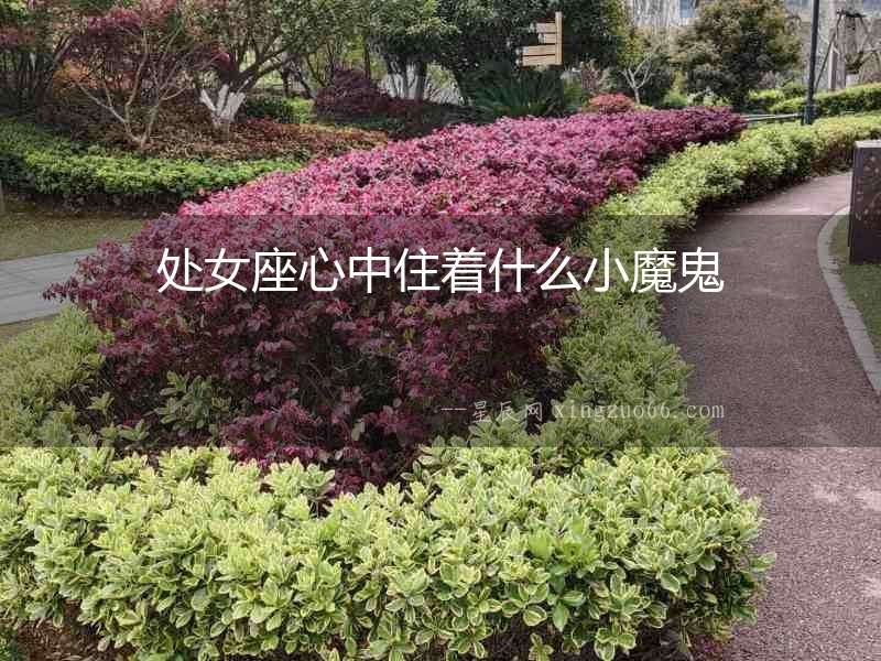 處女座心中住著什么小魔鬼