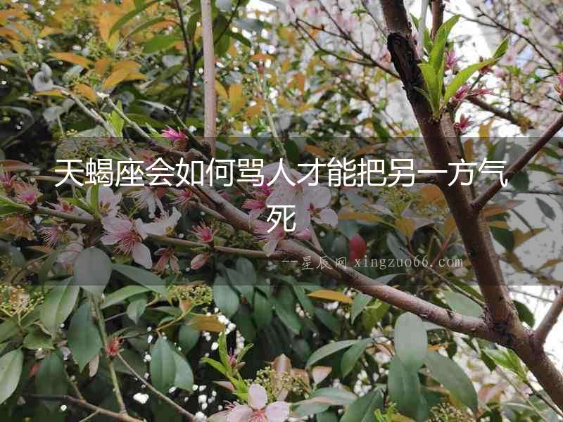 天蝎座會如何罵人才能把另一方氣死