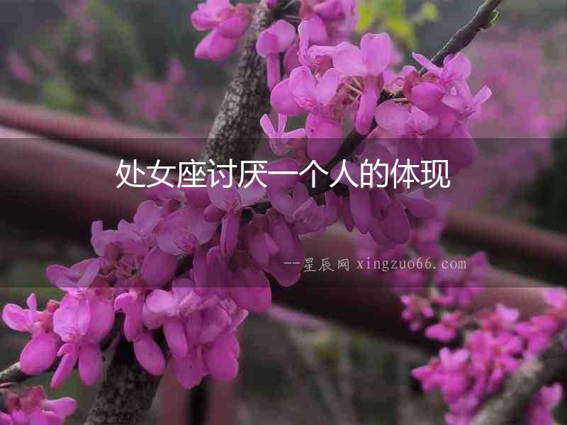 處女座討厭一個人的體現