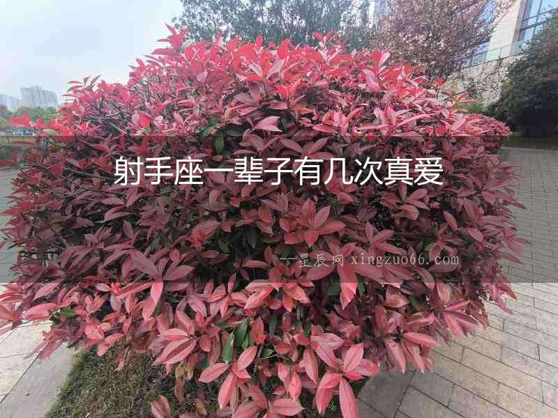 射手座一輩子有幾次真愛