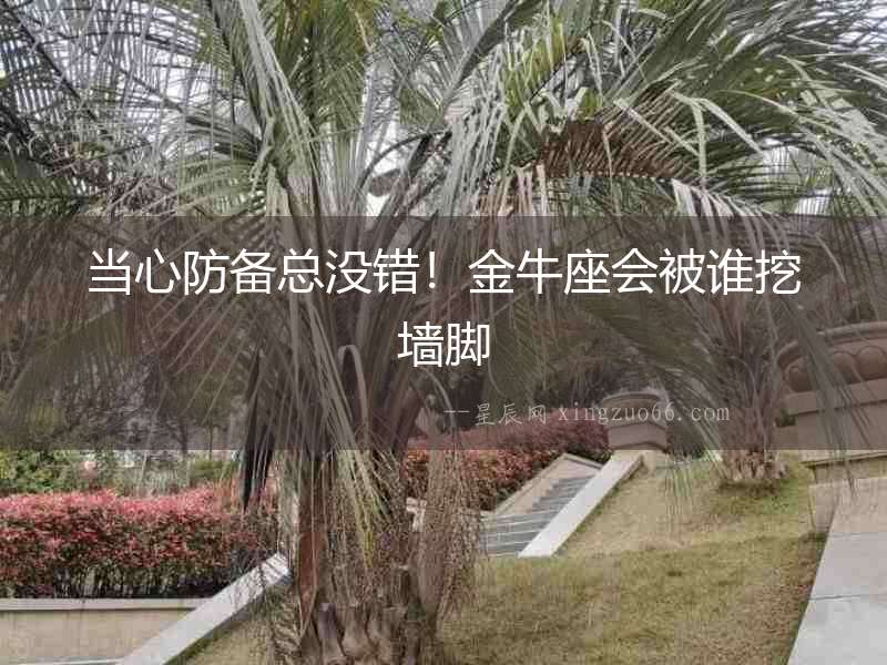 當心防備總沒錯！金牛座會被誰挖墻腳