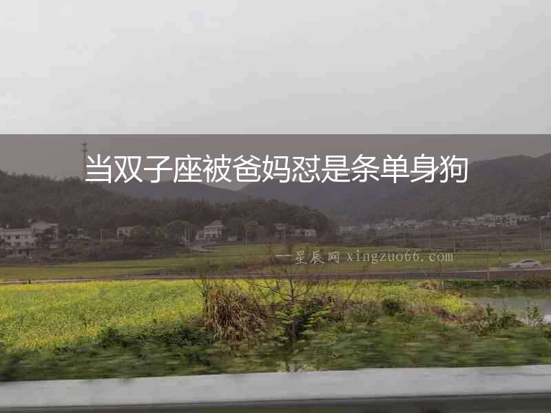 當雙子座被爸媽懟是條單身狗
