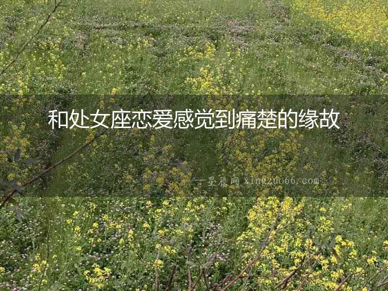 和處女座戀愛感覺到痛楚的緣故