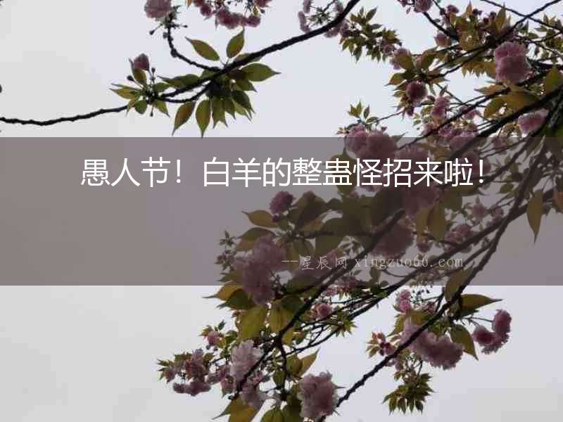 愚人節！白羊的整蠱怪招來啦！