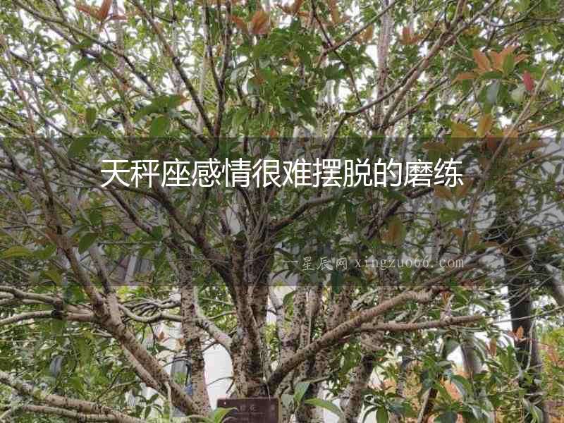 天秤座感情很難擺脫的磨練