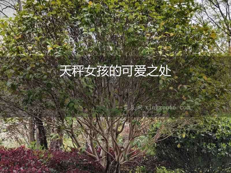 天秤女孩的可愛之處