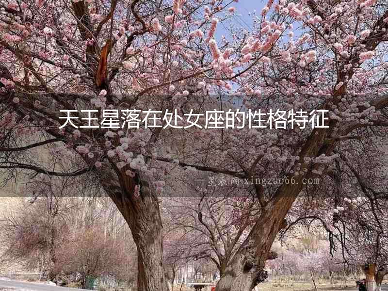 天王星落在處女座的性格特征