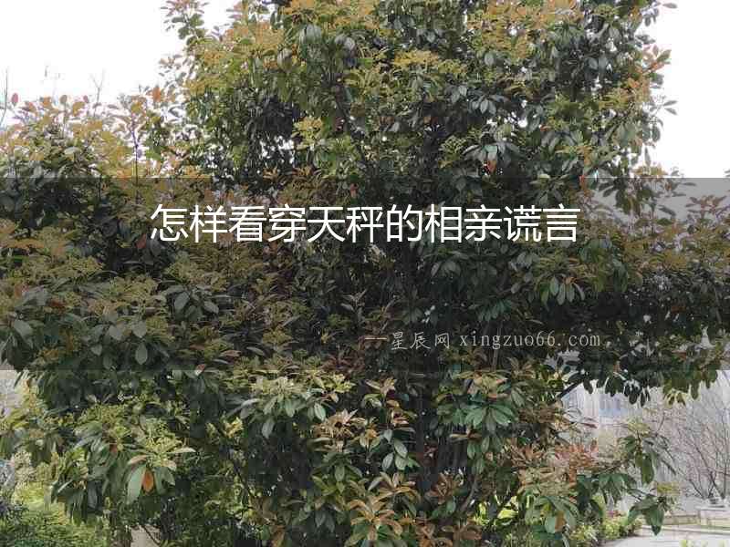 怎樣看穿天秤的相親謊言