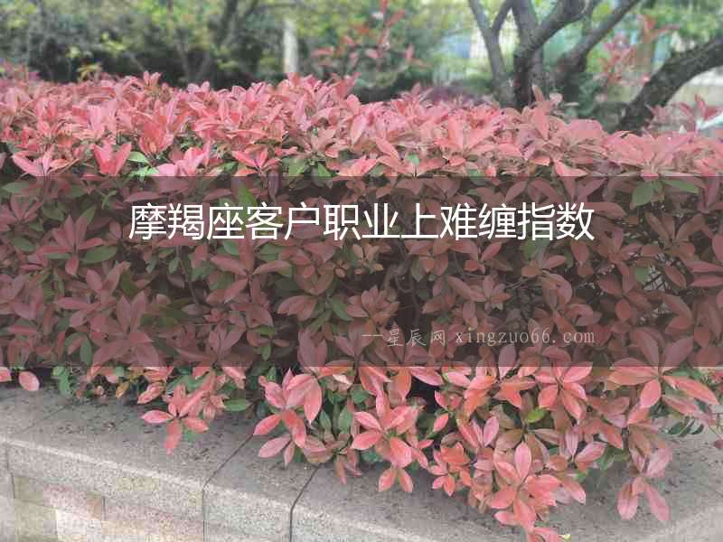 摩羯座客戶職業上難纏指數