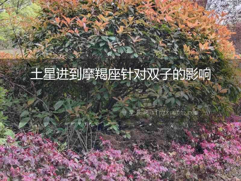 土星進到摩羯座針對雙子的影響
