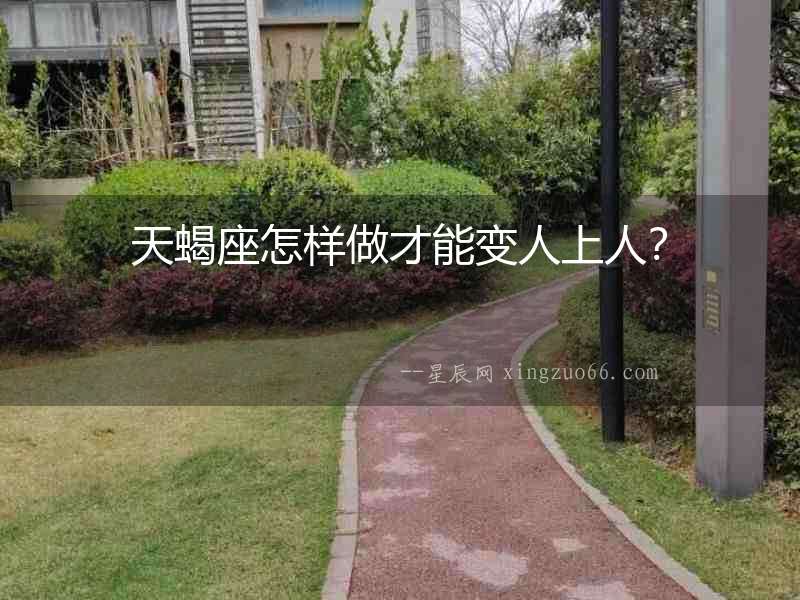 天蝎座怎樣做才能變人上人？