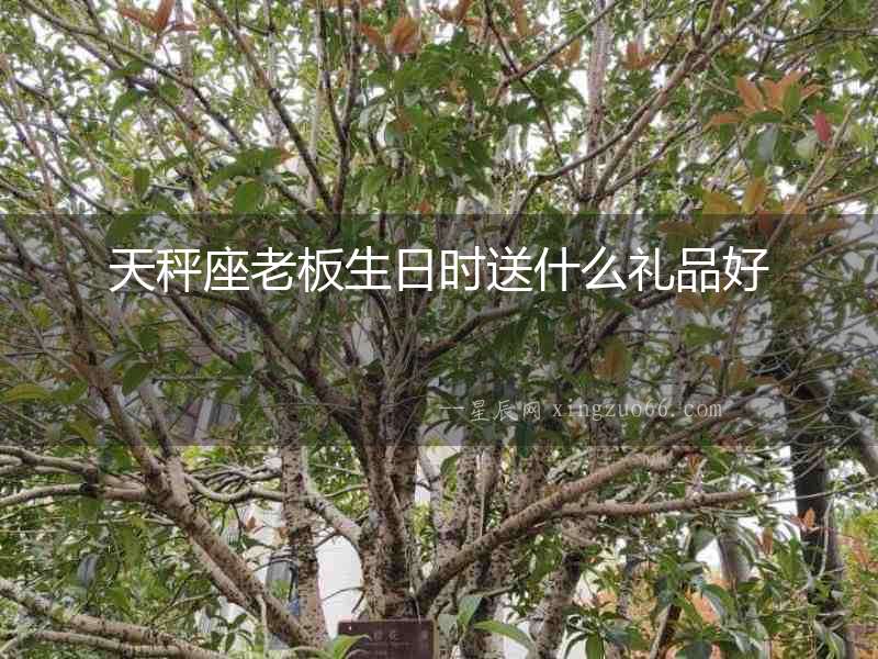 天秤座老板生日時送什么禮品好
